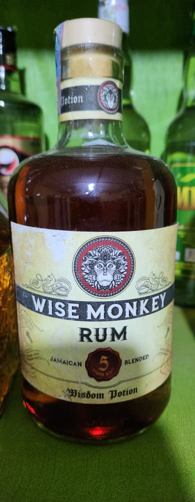 Wise Monkey